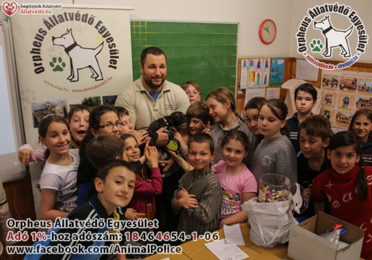 Állatvédelmi oktatás