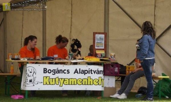 Bogáncs Kisállatotthon Alapítvány